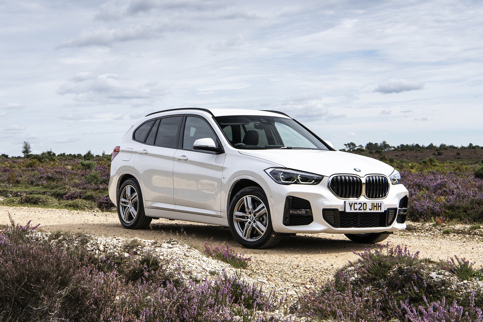 Used BMW X1 [F48] (2019 - 2022) + Guide - Image 1